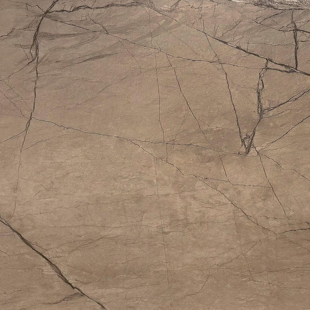 [30110262] Keramisch Tegels Fossil Marmerlook Brown Carving Niet Glanzend Gerectificeerd