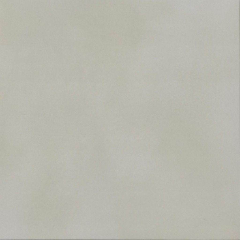 [30110142] Keramisch Tegels Magnetica Betonlook Charm Rec Niet Glanzend Gerectificeerd (80x80cm)